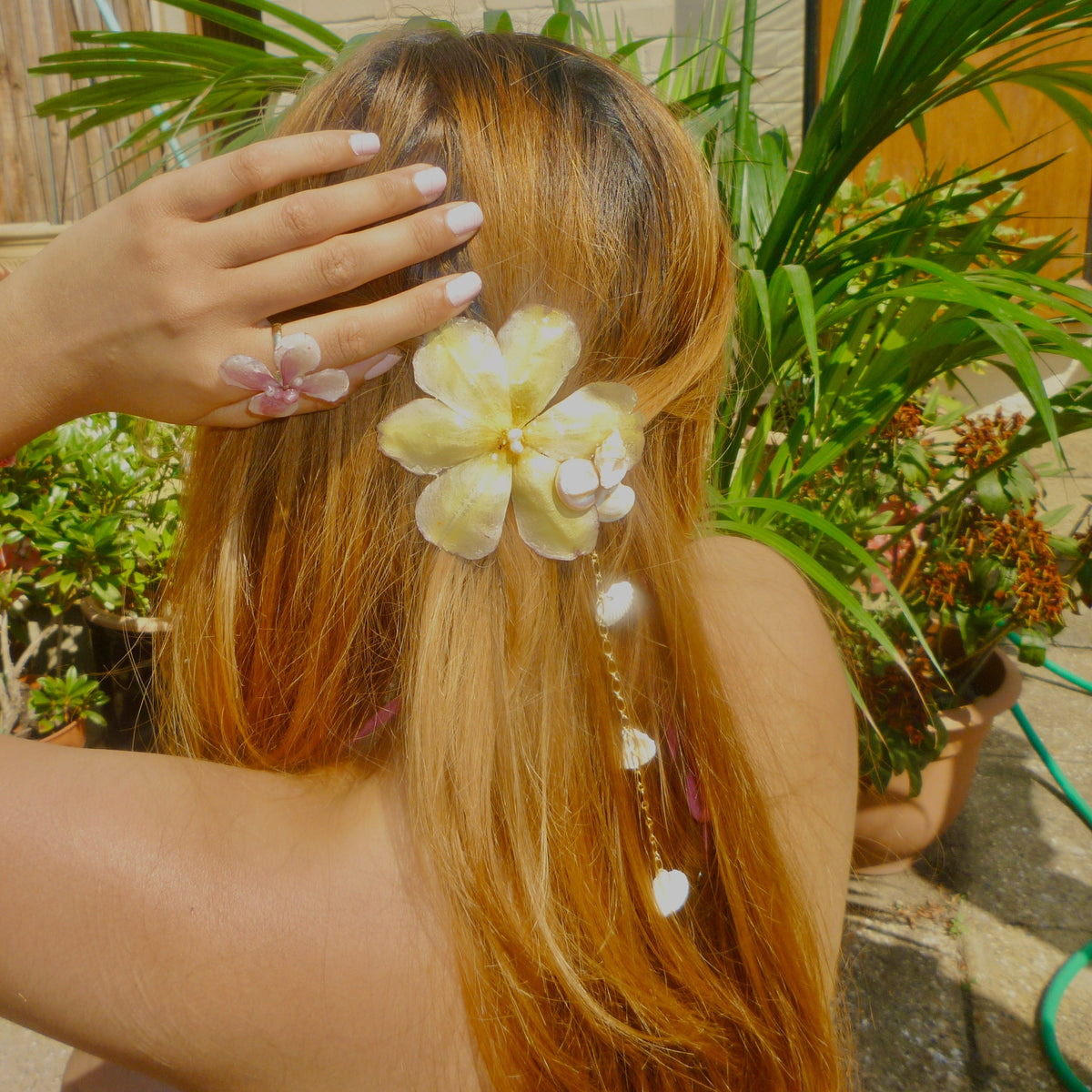 Sassy Seashell